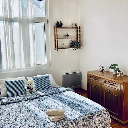 Apartment Igor 2